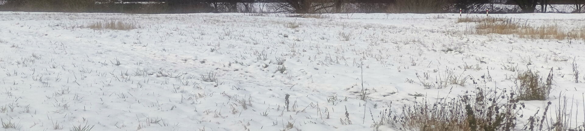 Schnne im Winter 2026 an der Wupper in Opladen